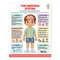 Laminated human body poster showing body systems with colorful anatomy illustrations and a printed QR code