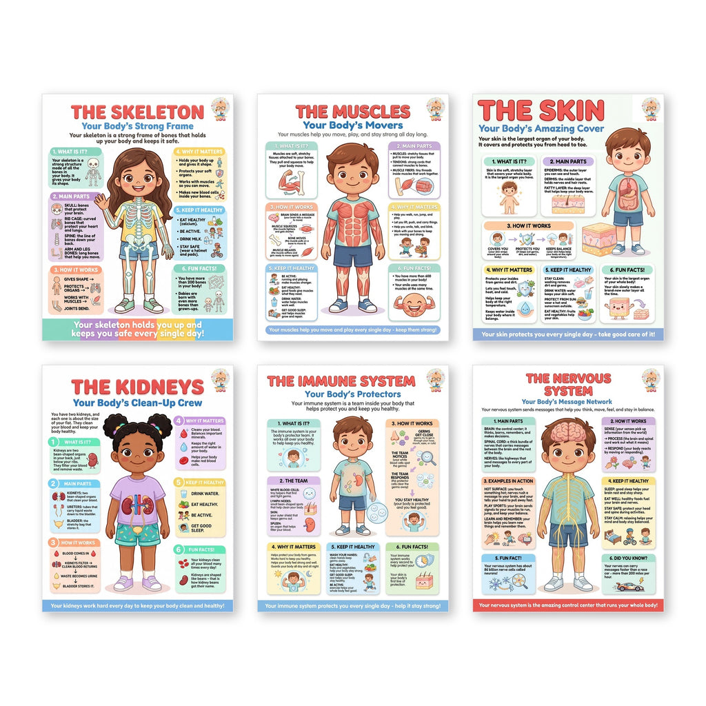 Six laminated human body posters for skin, kidneys, muscles, skeleton, immune system, and nervous system with QR codes