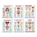 Six laminated human body posters for skin, kidneys, muscles, skeleton, immune system, and nervous system with QR codes