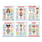 Six laminated human body posters for skin, kidneys, muscles, skeleton, immune system, and nervous system with QR codes