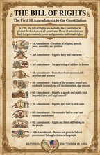 Twelve laminated civics posters covering the Bill of Rights, Constitution, Declaration of Independence, and related topics — view 7