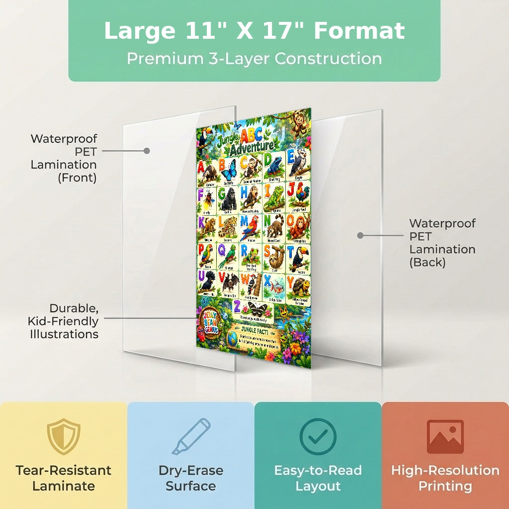 Four laminated jungle learning posters for alphabet, colors, jungle words, and counting with QR audio lessons. — view 2