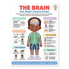 Six laminated human body anatomy posters with QR codes for narrated audio lessons — view 5