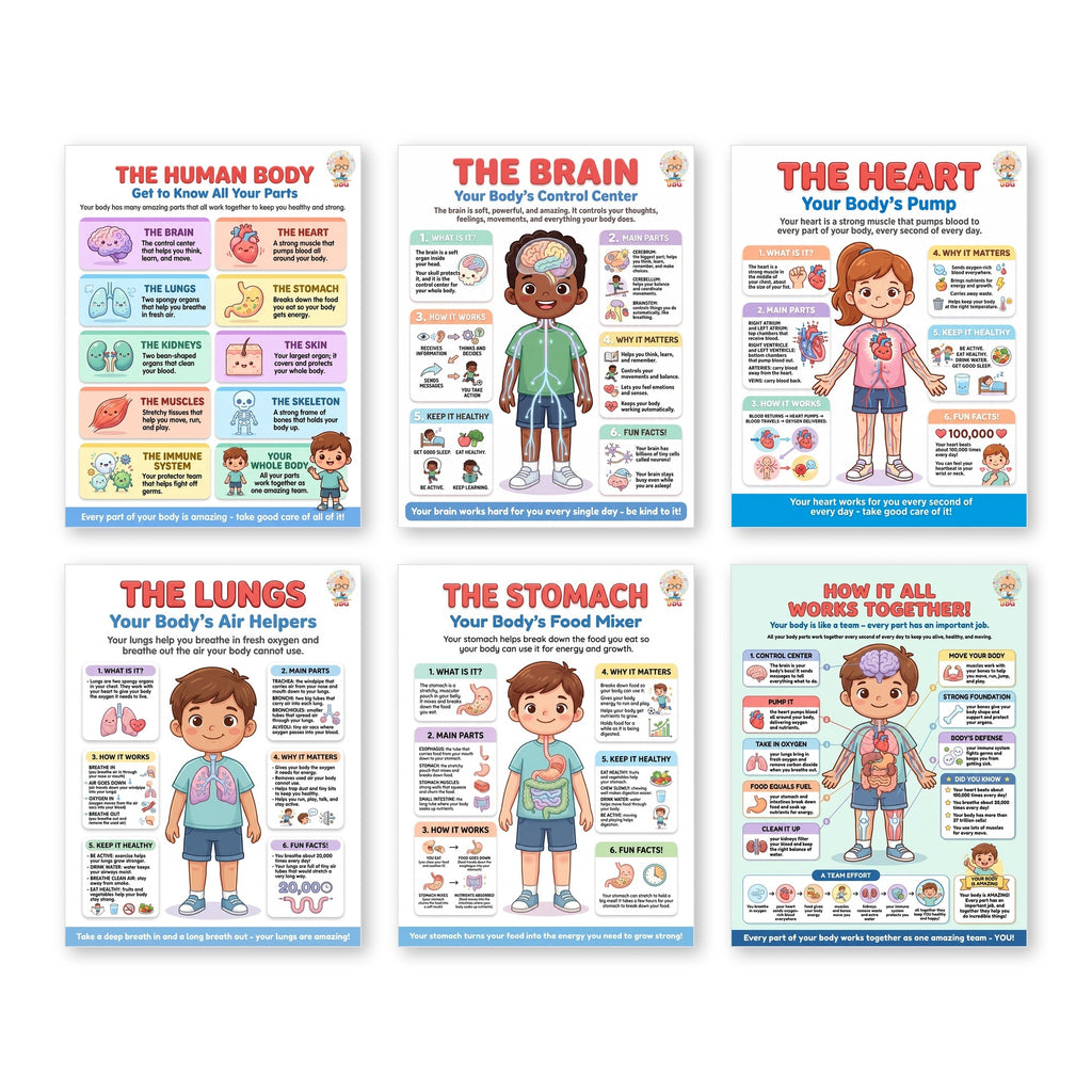Six laminated human body anatomy posters with QR codes for narrated audio lessons