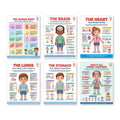 Six laminated human body anatomy posters with QR codes for narrated audio lessons