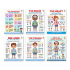 Six laminated human body anatomy posters with QR codes for narrated audio lessons