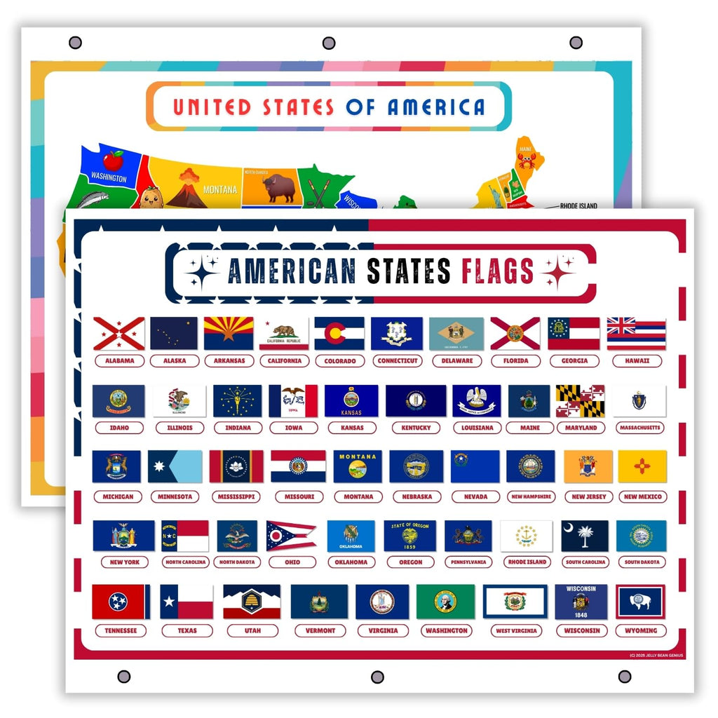 Updated United States Map with All 50 State Flags – Laminated, Double-Sided 3-Ring Binder Insert – Durable Gloss Reference