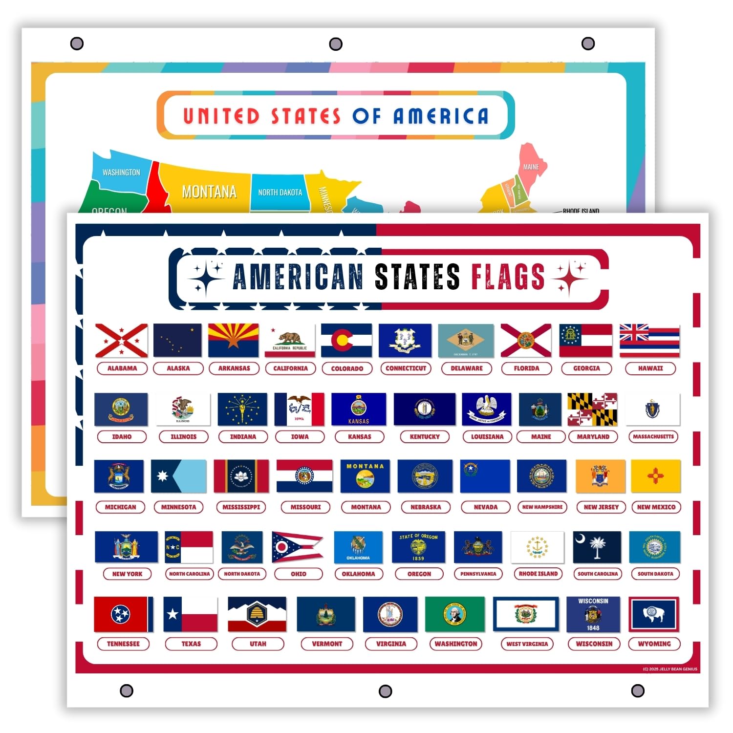 United States Map with All 50 State Flags – Laminated, Double-Sided 3-Ring Binder Insert – Durable Gloss Reference Page for