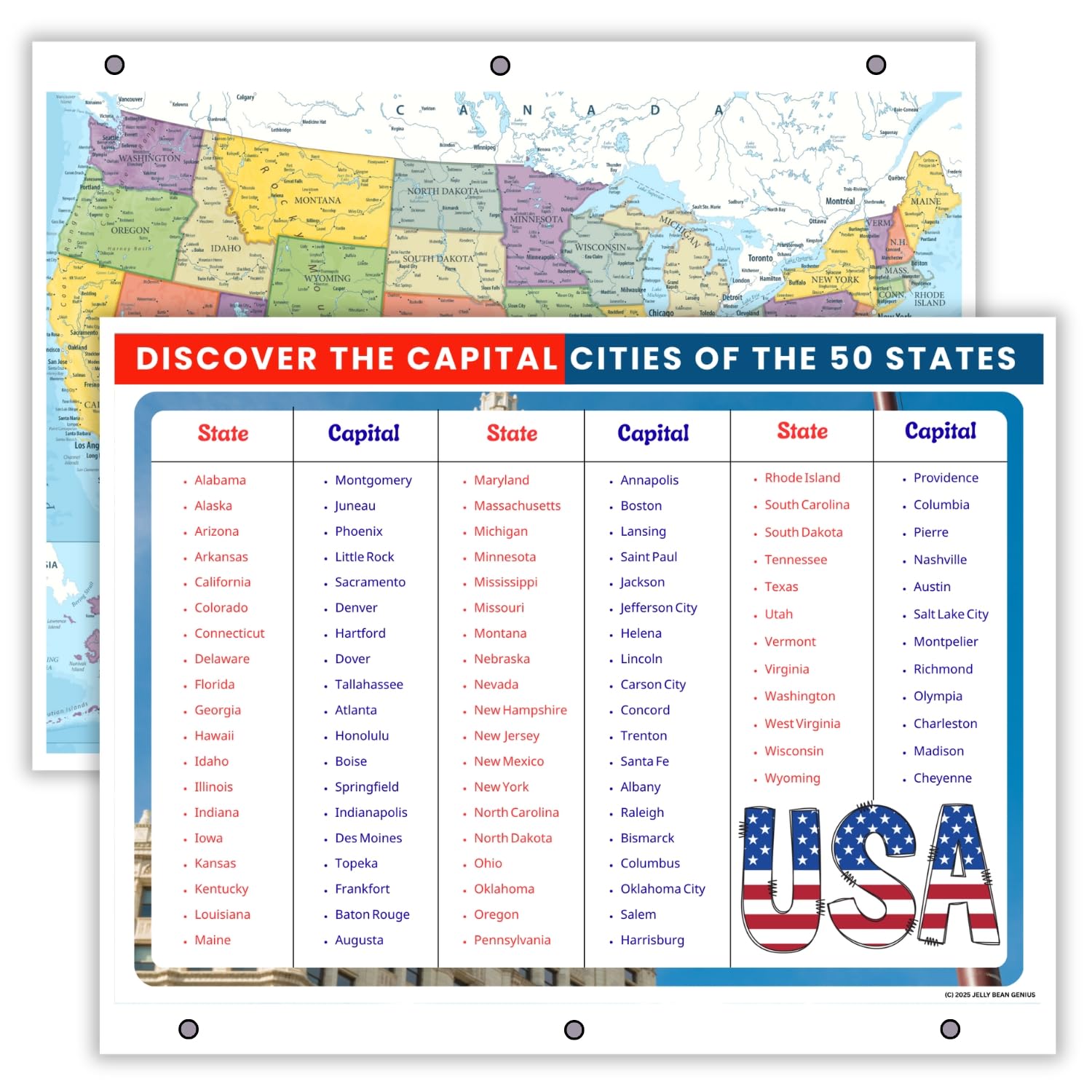 Detailed United States Map & States–Cities Reference Page – Laminated, Double-Sided 3-Ring Binder Insert – Durable Gloss