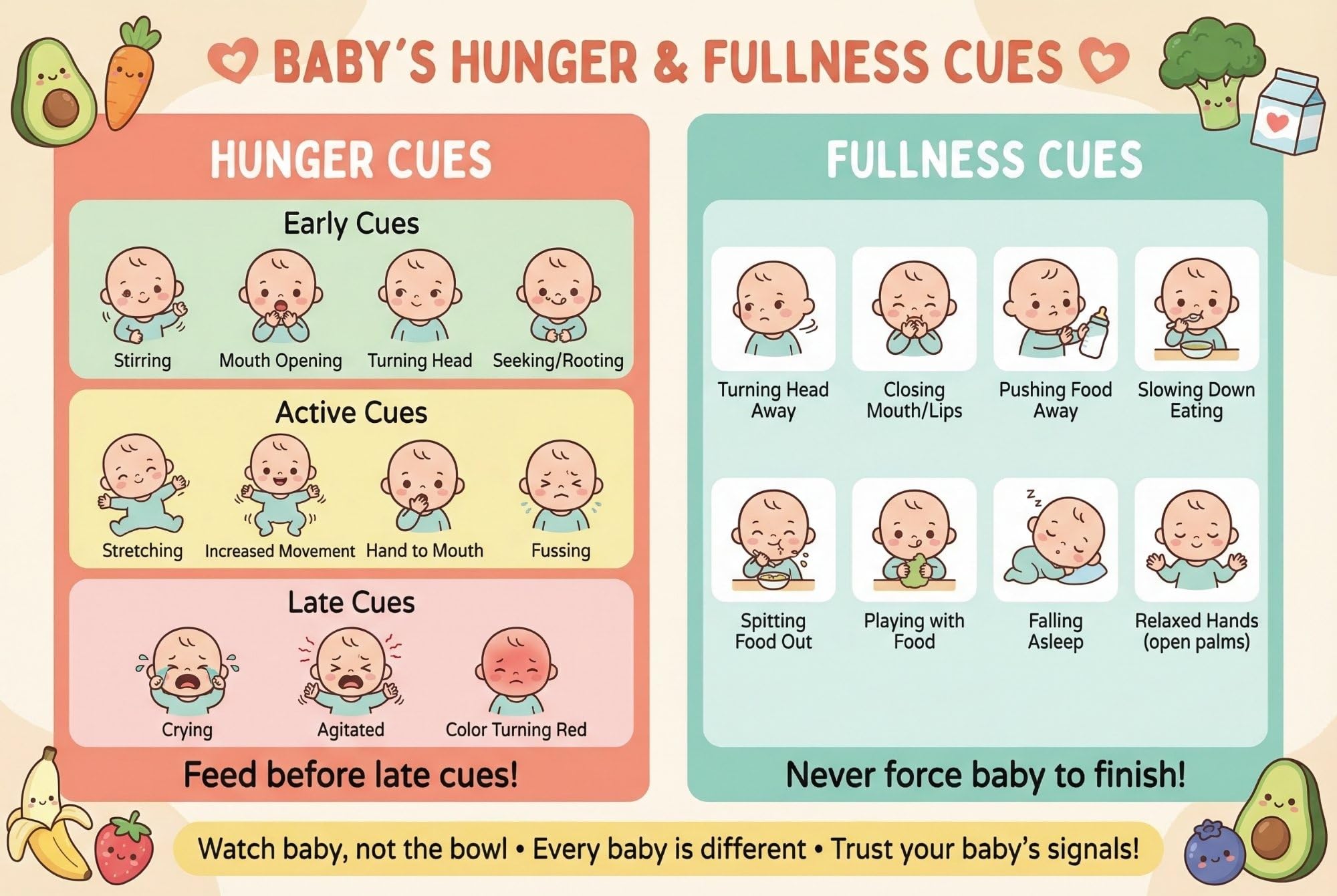 JELLY BEAN GENIUS Baby Sign Language Poster for Mealtime – Hunger & Fullness Cues Guide | Laminated Infant Communication