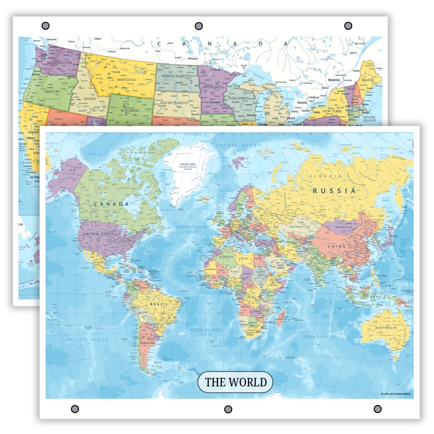 Detailed United States Map & World Map Reference Page – Laminated, Double-Sided 3-Ring Binder Insert – Durable Gloss