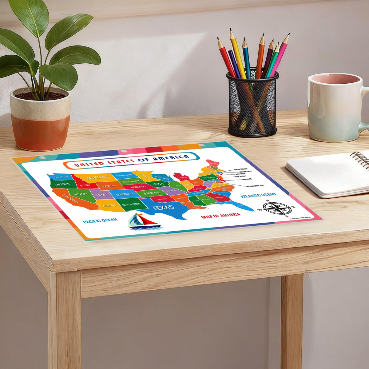 United States Map with All 50 State Flags – Laminated, Double-Sided 3-Ring Binder Insert – Durable Gloss Reference Page for Study & Binder Organization (5 Pack)
