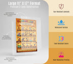 JELLY BEAN GENIUS Safari & Jungle Animals Poster for Kids – Double Sided Laminated Educational Chart | 40 Wild Animals