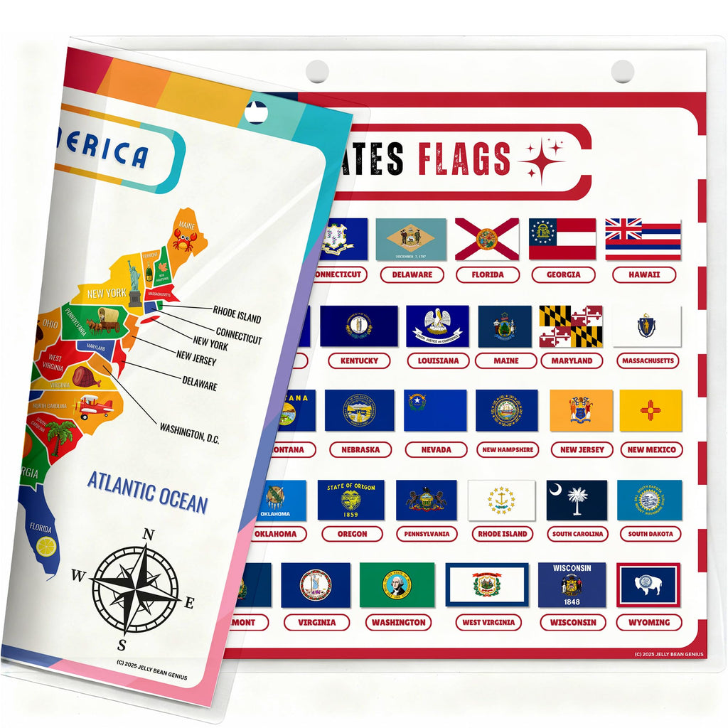 Updated United States Map with All 50 State Flags – Laminated, Double-Sided 3-Ring Binder Insert – Durable Gloss Reference