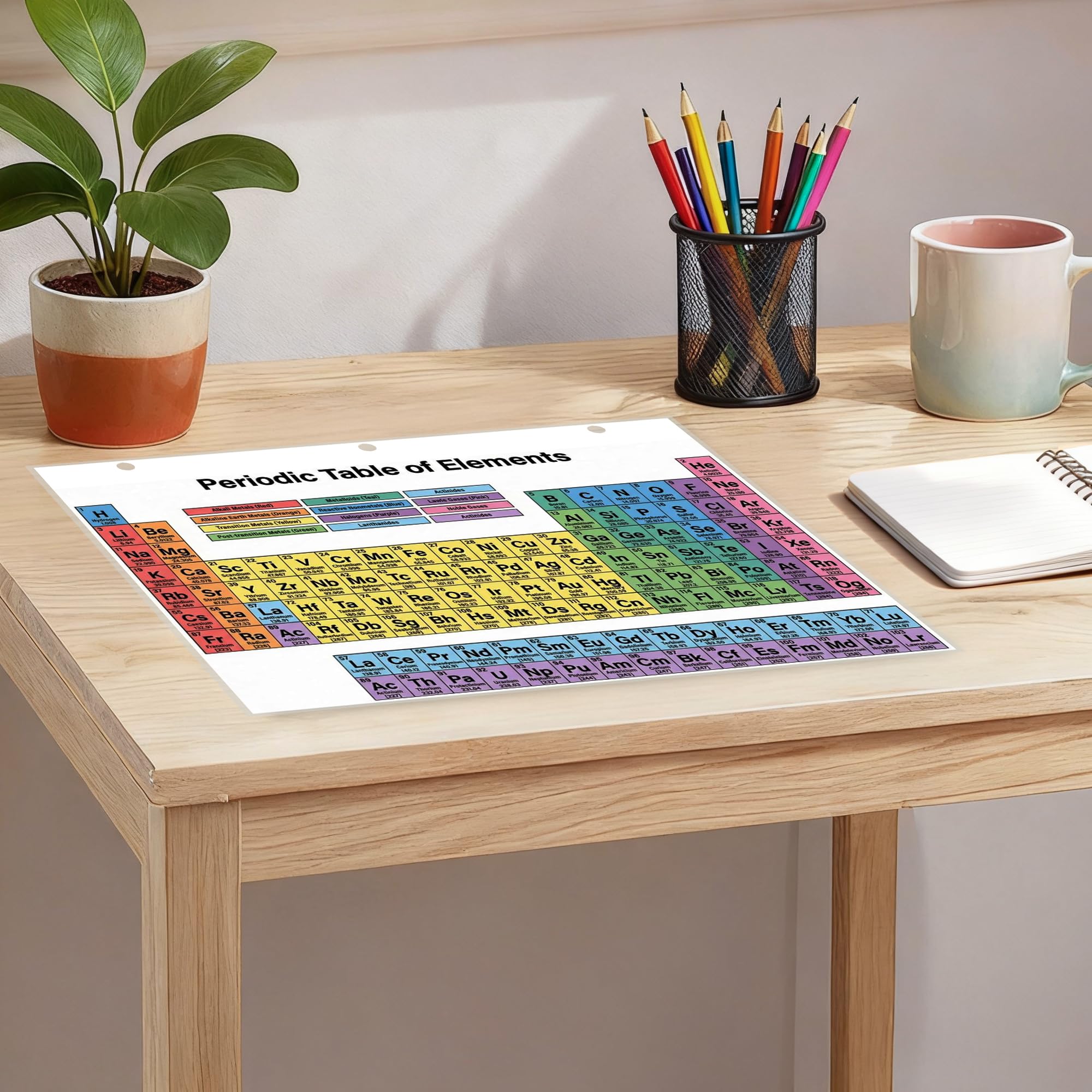JELLY BEAN GENIUS Periodic Table of Elements Reference Chart – Laminated, Double-Sided 3-Ring Binder Insert (8.5 x 11