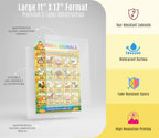 JELLY BEAN GENIUS Farm & Forest Animals Poster for Kids – Double Sided Laminated Educational Chart | 40 Woodland & Barnyard