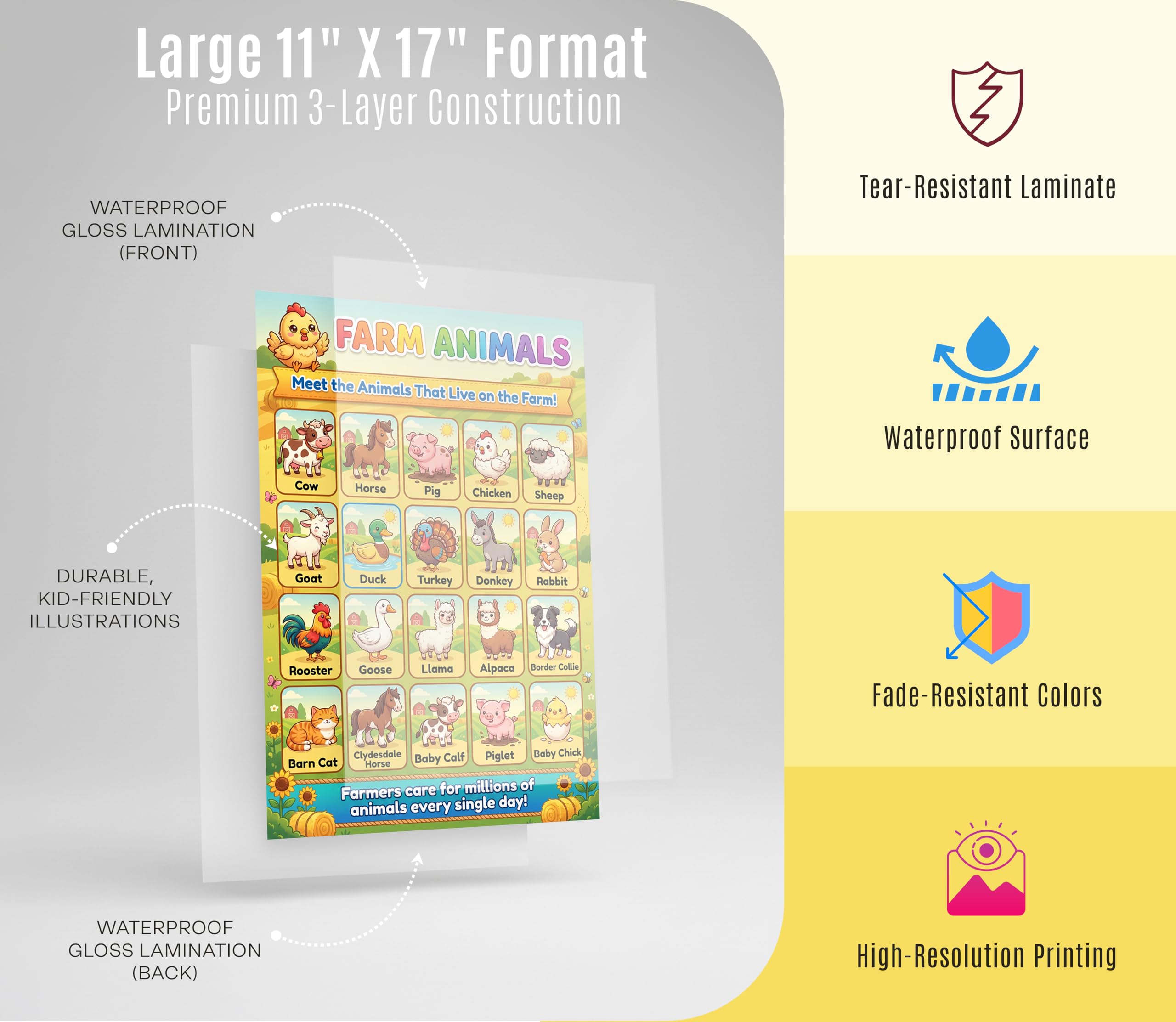 JELLY BEAN GENIUS Farm & Forest Animals Poster for Kids – Double Sided Laminated Educational Chart | 40 Woodland & Barnyard