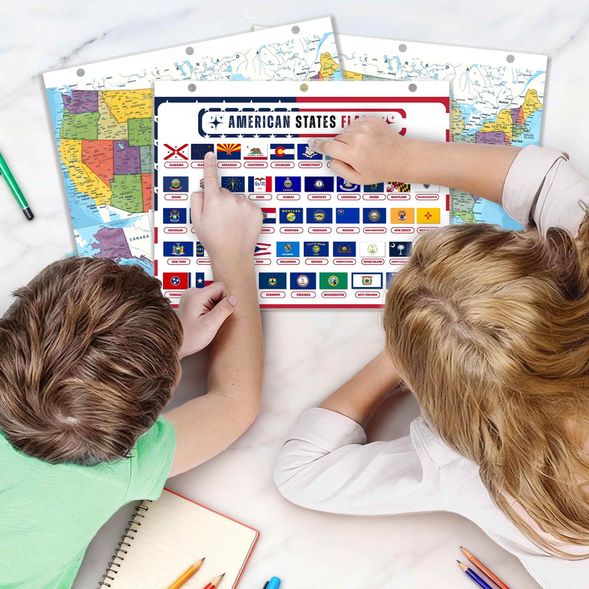 Updated United States Map with All 50 State Flags – Laminated, Double-Sided 3-Ring Binder Insert – Durable Gloss Reference