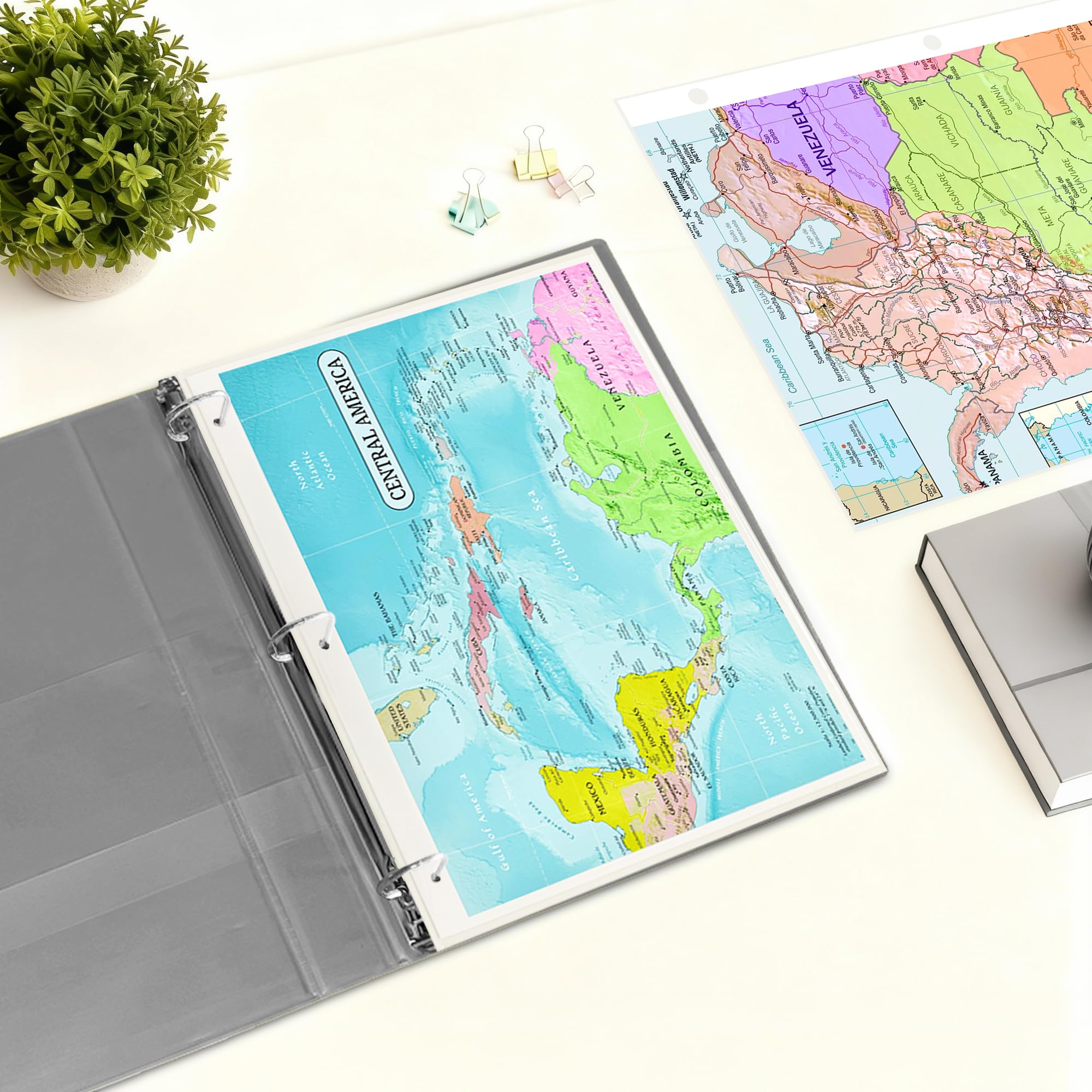 World Map Design — Features a redesigned world map layout with clear labeling and bright colors. A fresh visual option for