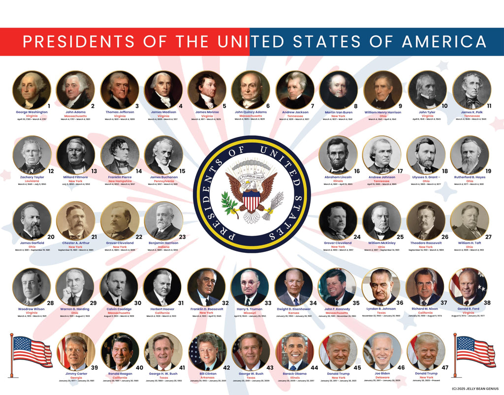 U.S. Presidents & U.S. Vice Presidents Reference Page – Laminated, Double-Sided 3-Ring Binder Insert – Durable Gloss Historical Chart for Study (5 Pack)