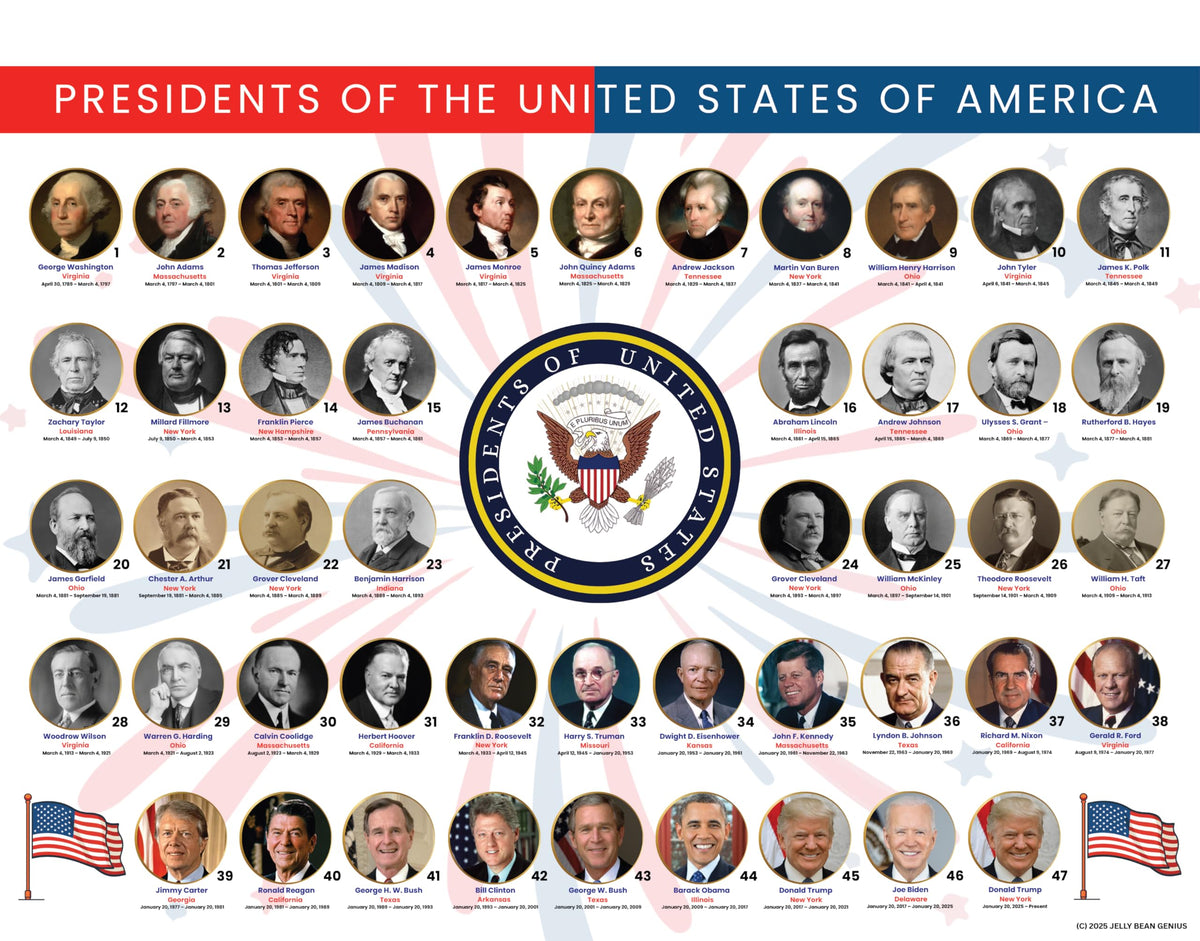 U.S. Presidents & U.S. Vice Presidents Reference Page – Laminated, Double-Sided 3-Ring Binder Insert – Durable Gloss Historical Chart for Study (5 Pack)