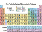 JELLY BEAN GENIUS Periodic Table of Elements Reference Chart – Laminated, Double-Sided 3-Ring Binder Insert (8.5 x 11