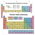 JELLY BEAN GENIUS Periodic Table of Elements Reference Chart – Laminated, Double-Sided 3-Ring Binder Insert (8.5 x 11