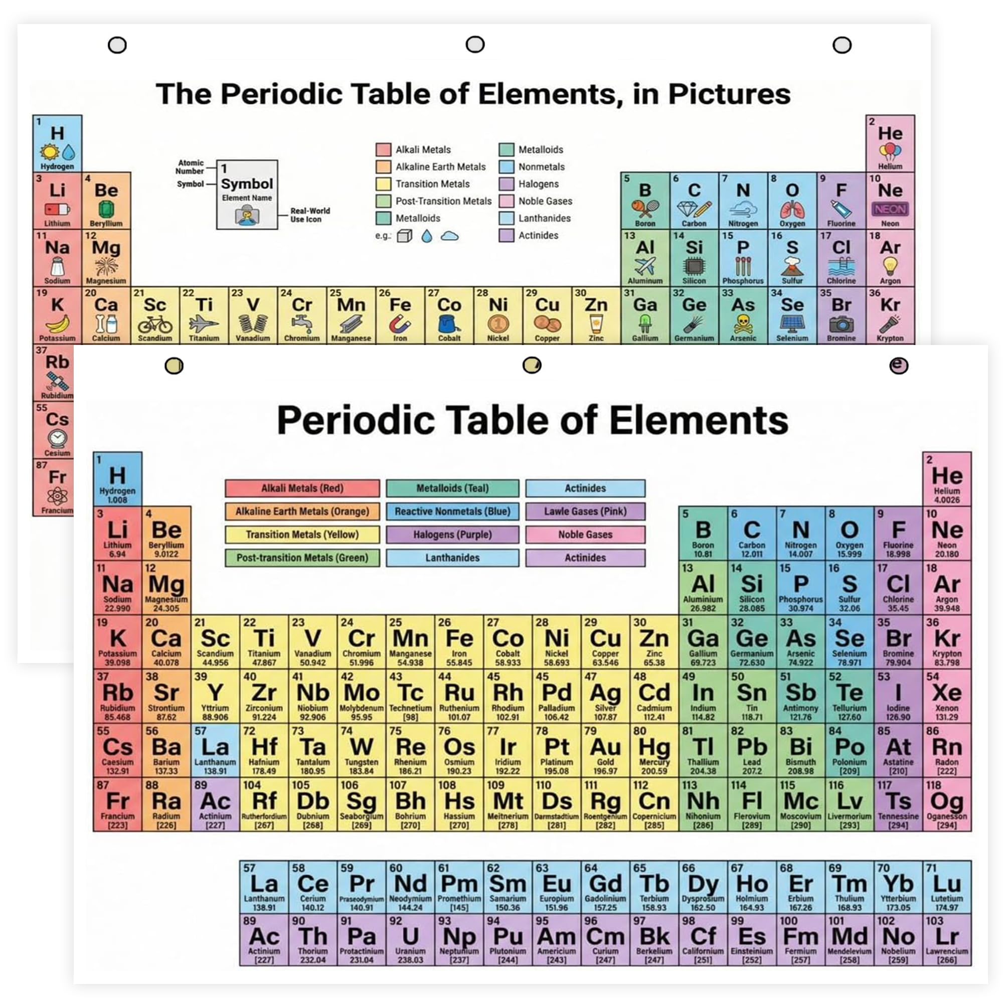 JELLY BEAN GENIUS Periodic Table of Elements Reference Chart – Laminated, Double-Sided 3-Ring Binder Insert (8.5 x 11