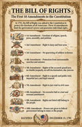 JELLY BEAN GENIUS Bill of Rights Summary Poster - All 10 Amendments Explained - Laminated 11x17 - Constitutional Rights
