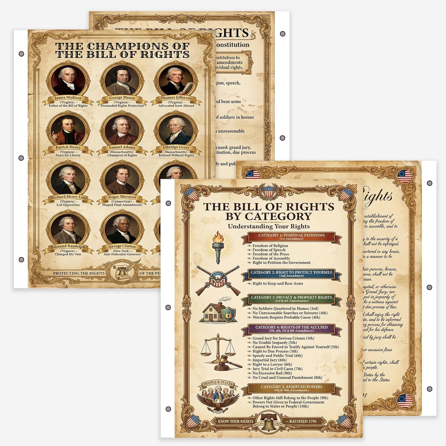 JELLY BEAN GENIUS Bill of Rights Binder Sheets (2 Pack) - Two-Sided 8.5x11 Laminated - All 10 Amendments - Constitutional