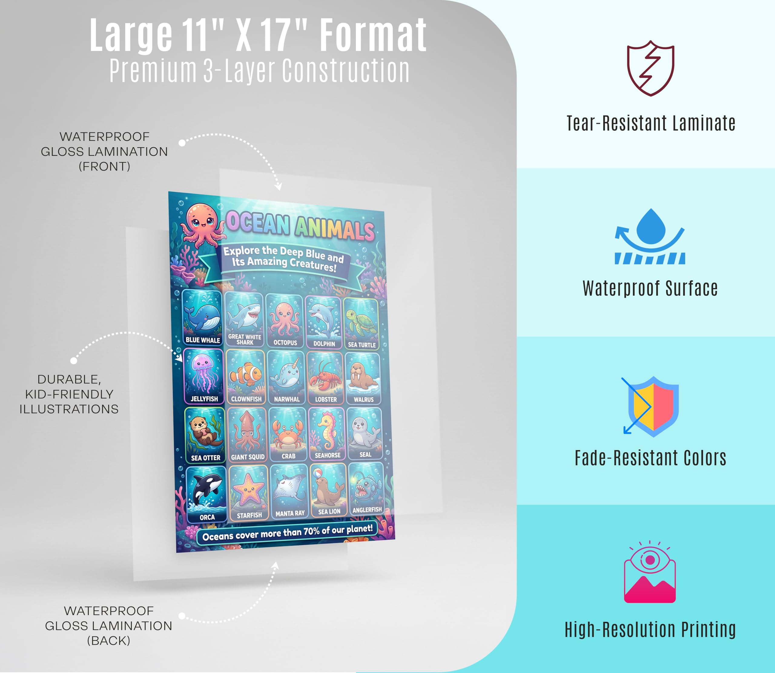 JELLY BEAN GENIUS Ocean Animals & Fish Poster for Kids – Double Sided Laminated Educational Chart | 40 Sea Creatures