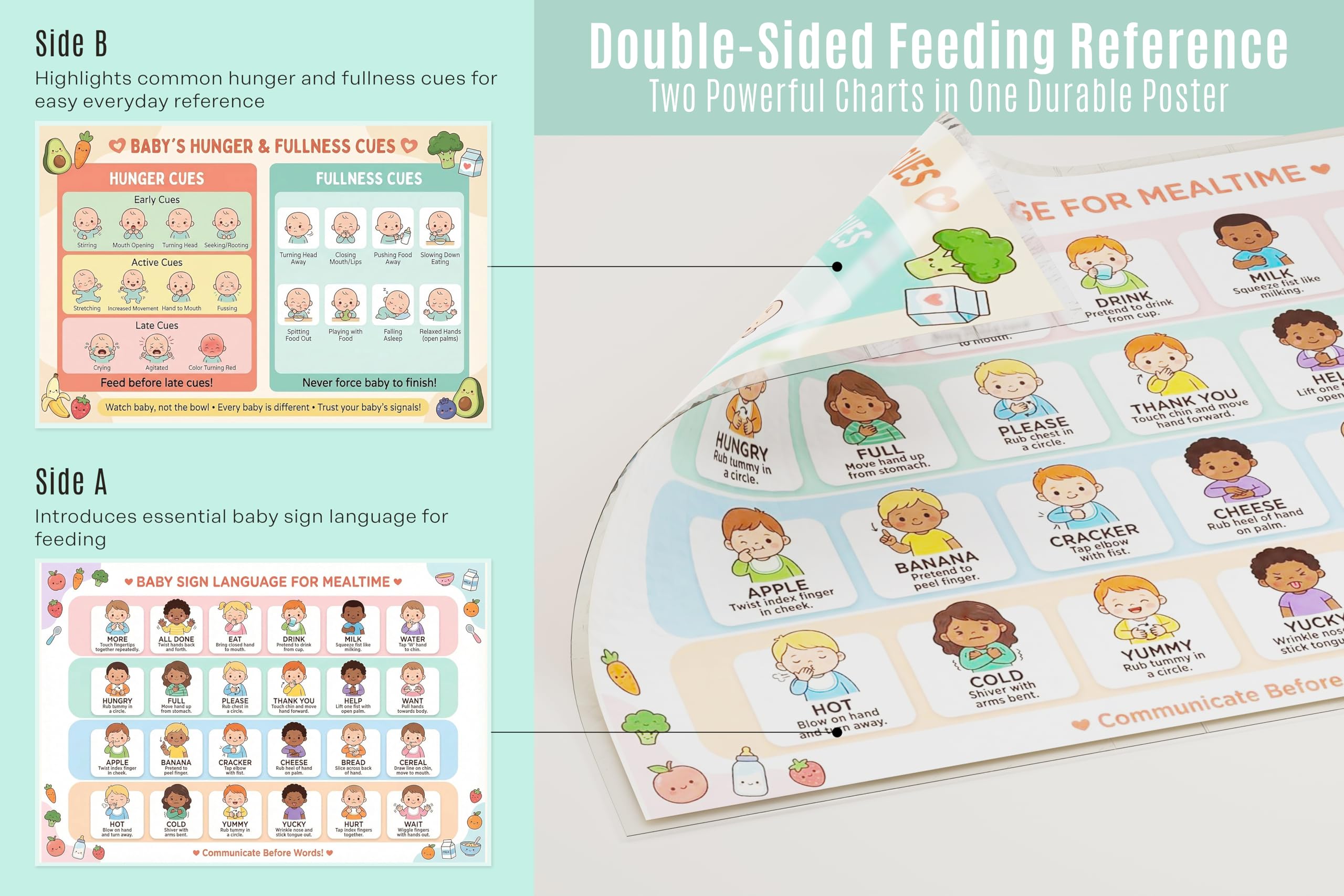 JELLY BEAN GENIUS Baby Sign Language Poster for Mealtime – Hunger & Fullness Cues Guide | Laminated Infant Communication