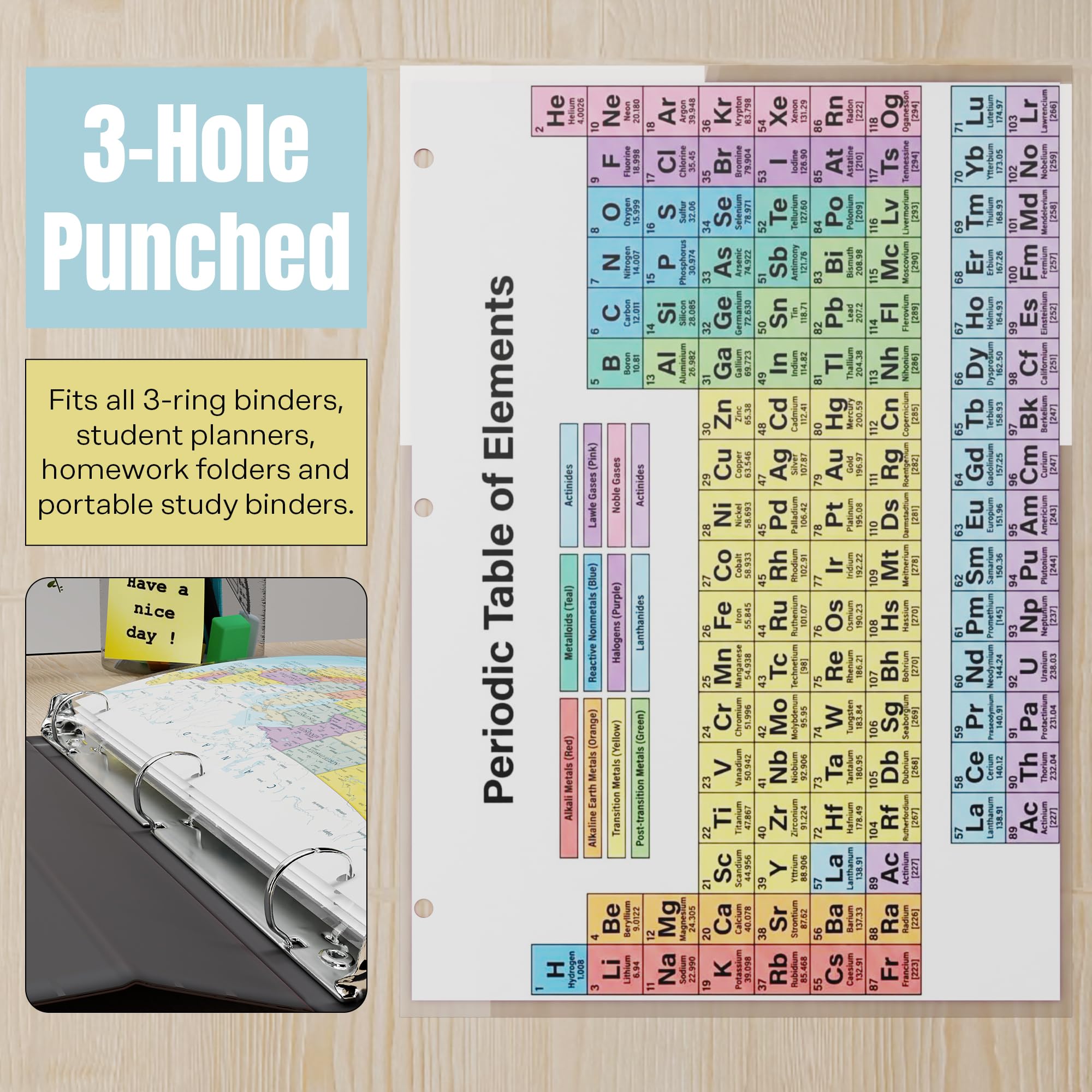 JELLY BEAN GENIUS Periodic Table of Elements Reference Chart – Laminated, Double-Sided 3-Ring Binder Insert (8.5 x 11
