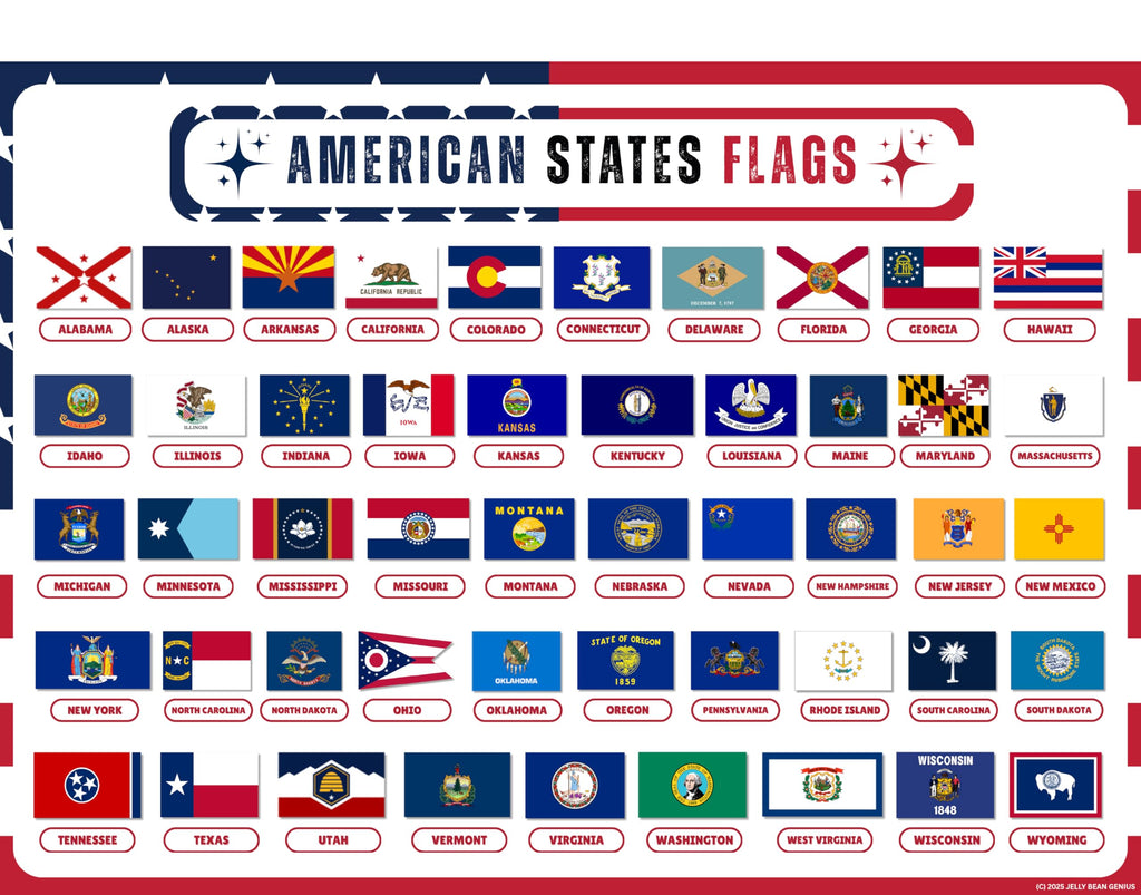 United States Map with All 50 State Flags – Laminated, Double-Sided 3-Ring Binder Insert – Durable Gloss Reference Page for