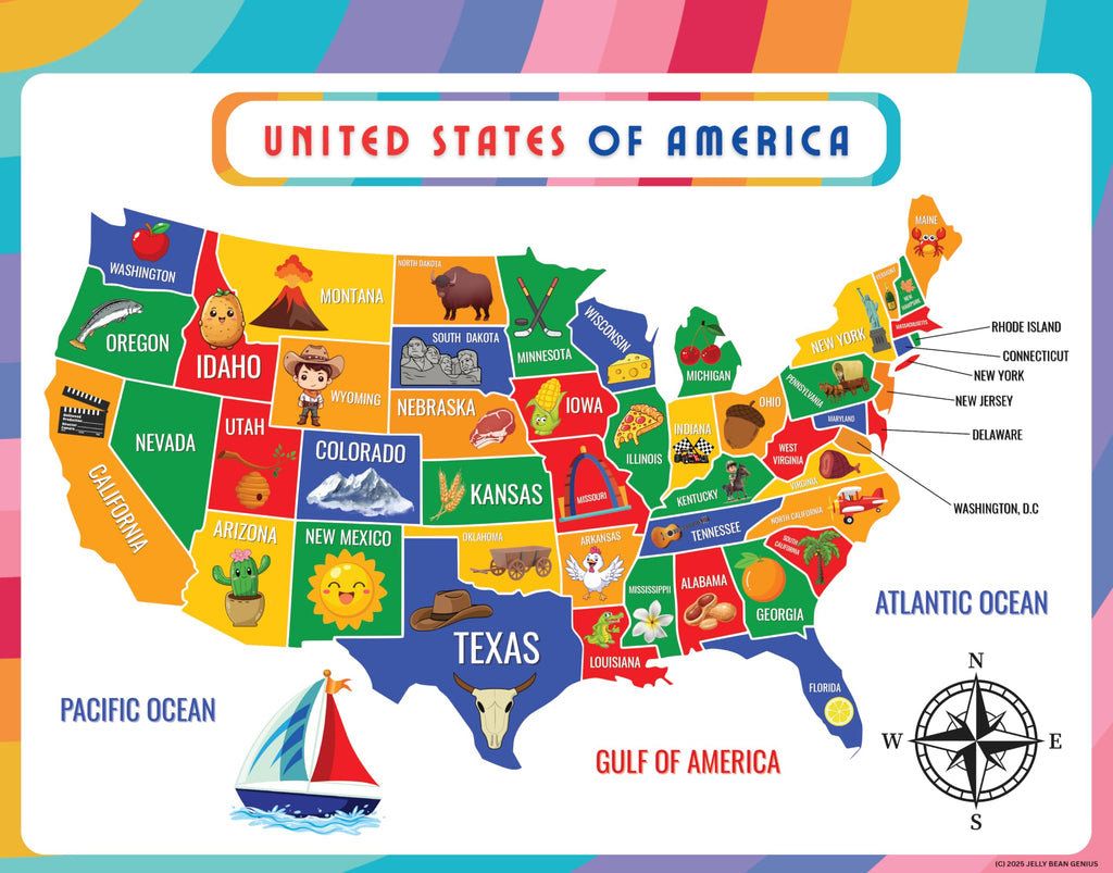 Updated United States Map & States–Cities Reference Page – Laminated, Double-Sided 3-Ring Binder Insert – Durable Gloss