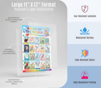 JELLY BEAN GENIUS Birds & Insects Poster for Kids – Double Sided Laminated Educational Chart | 20 Birds of the World + 20