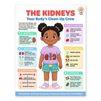 Laminated human body anatomy poster set with QR codes for narrated audio lessons — view 10