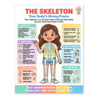 Six laminated human body posters for skin, kidneys, muscles, skeleton, immune system, and nervous system with QR codes — view 7