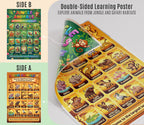 JELLY BEAN GENIUS Safari & Jungle Animals Poster for Kids – Double Sided Laminated Educational Chart | 40 Wild Animals