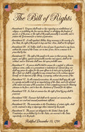 JELLY BEAN GENIUS Bill of Rights Original Document Poster - Historic Text Replica - Laminated 11x17 - Founding Documents