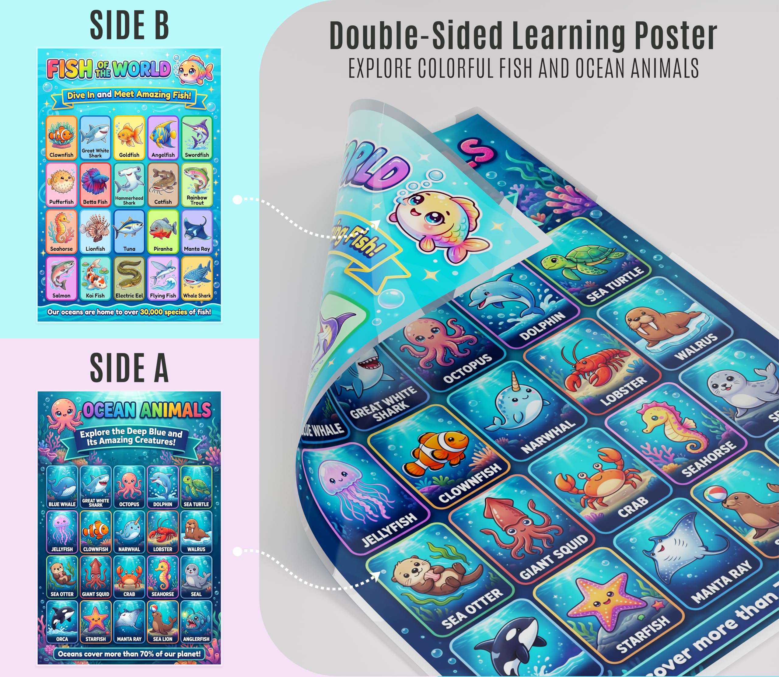 JELLY BEAN GENIUS Ocean Animals & Fish Poster for Kids – Double Sided Laminated Educational Chart | 40 Sea Creatures