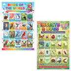 JELLY BEAN GENIUS Birds & Insects Poster for Kids – Double Sided Laminated Educational Chart | 20 Birds of the World + 20