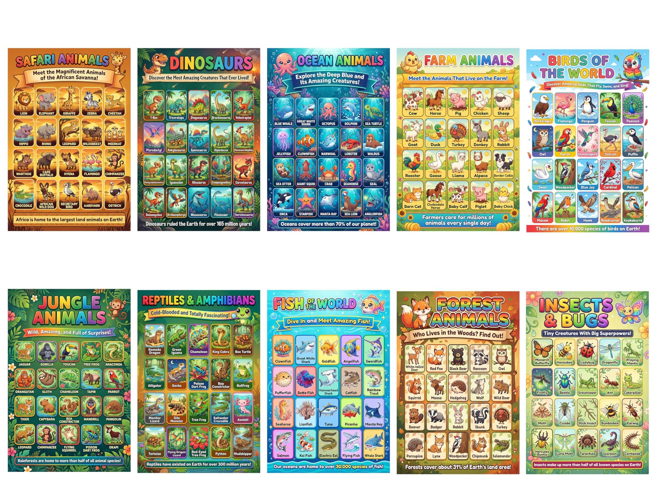 JELLY BEAN GENIUS Animal Posters for Kids 5 Pack (10 Designs) – Double Sided Laminated Educational Set | Safari Ocean Farm