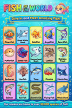 JELLY BEAN GENIUS Ocean Animals & Fish Poster for Kids – Double Sided Laminated Educational Chart | 40 Sea Creatures