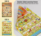 JELLY BEAN GENIUS Farm & Forest Animals Poster for Kids – Double Sided Laminated Educational Chart | 40 Woodland & Barnyard