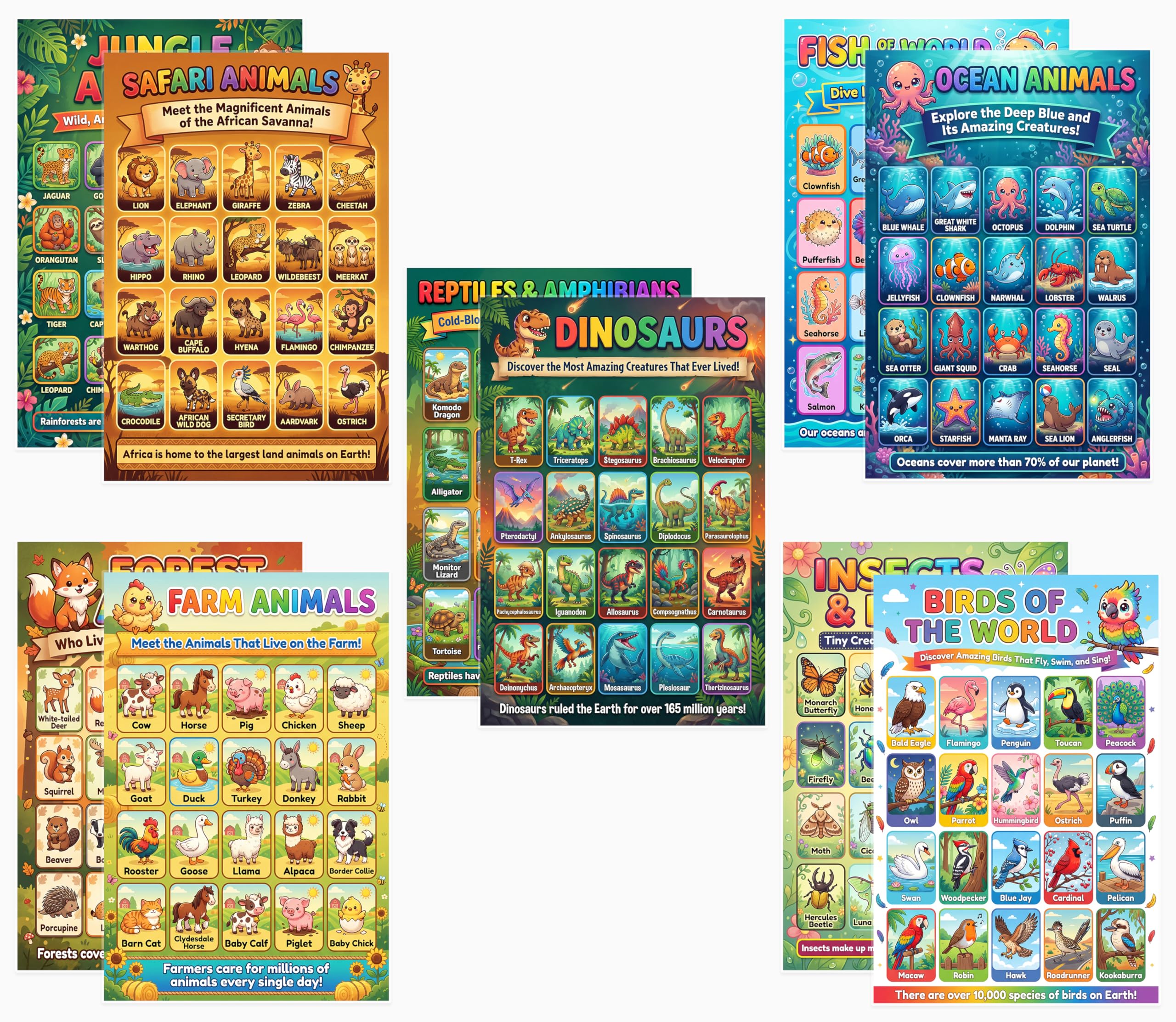 JELLY BEAN GENIUS Animal Posters for Kids 5 Pack (10 Designs) – Double Sided Laminated Educational Set | Safari Ocean Farm