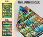 JELLY BEAN GENIUS Dinosaur & Reptiles Poster for Kids – Double Sided Laminated Educational Chart | 20 Dinos + 20 Amphibians