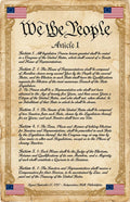 JELLY BEAN GENIUS Constitution Article I Poster - Legislative Branch Powers - Laminated 11x17 - Congress Senate House