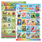JELLY BEAN GENIUS Birds & Insects Poster for Kids – Double Sided Laminated Educational Chart | 20 Birds of the World + 20