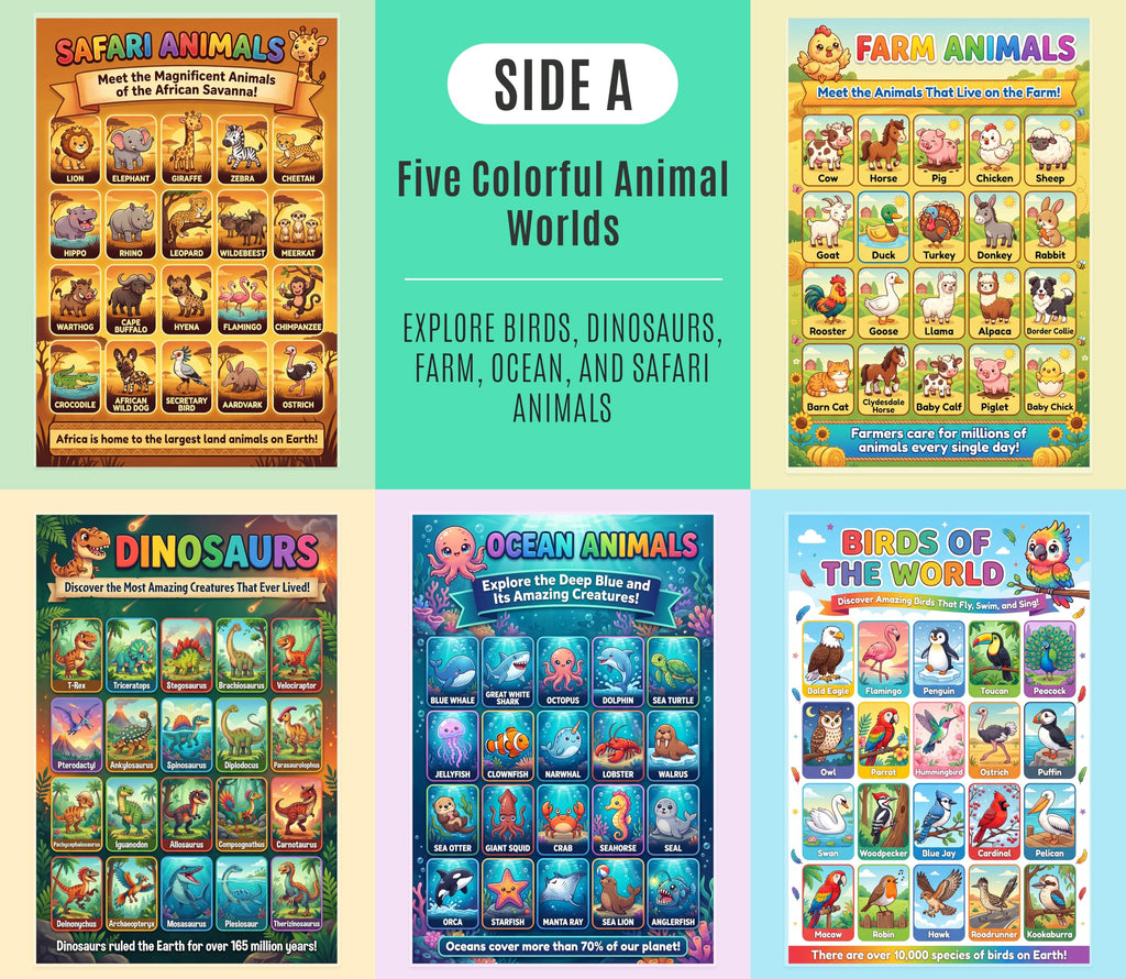 JELLY BEAN GENIUS Animal Posters for Kids 5 Pack (10 Designs) – Double Sided Laminated Educational Set | Safari Ocean Farm